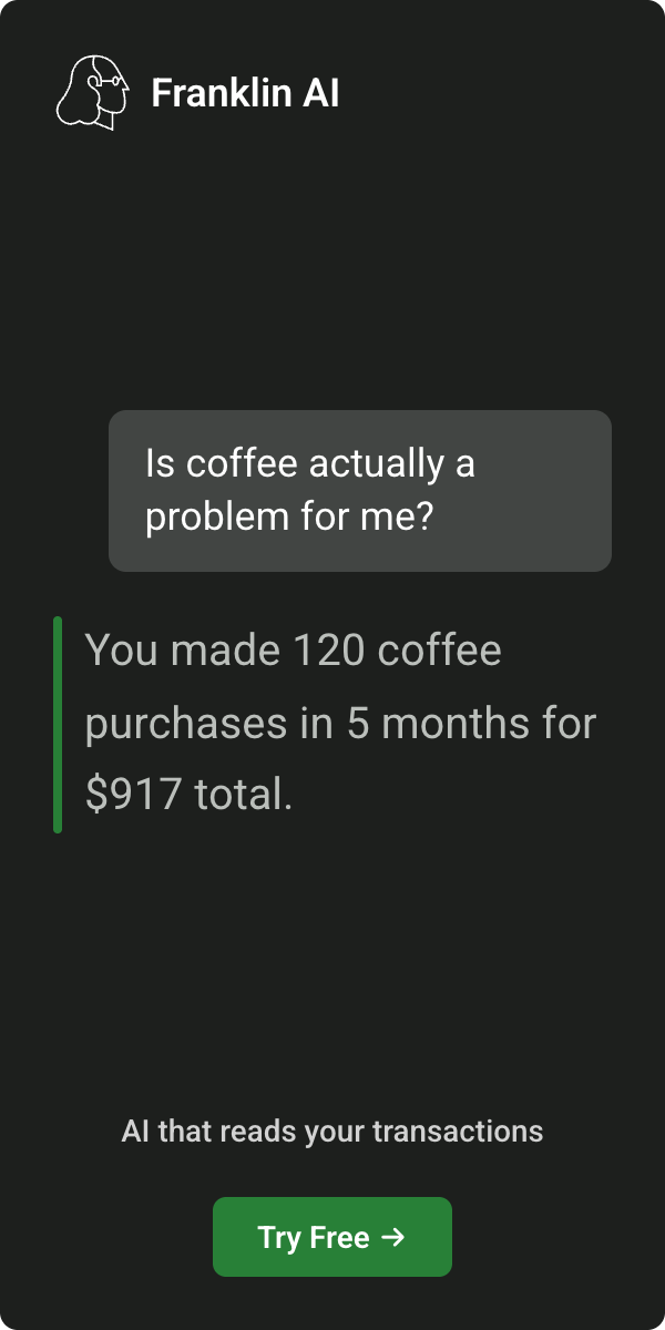 Franklin AI - AI that reads your transactions
