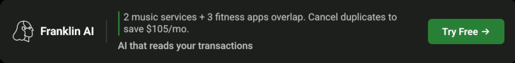 Franklin AI - AI that reads your transactions